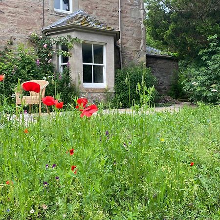 Organic Welltree Bed and Breakfast Saint Martins  Buitenkant foto